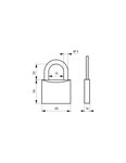THIRARD - Cadenas à clé Cinox  inox  extérieur  anse inox  30mm  3 clés