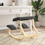 vidaXL Chaise assis-genoux noir 48x71x51 cm contreplaqué de bouleau