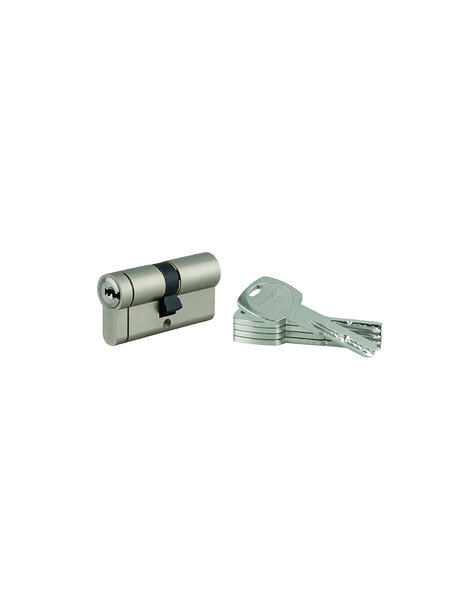 THIRARD - Cylindre double entrée Transit 1  30x30mm  nickelé  5 clés