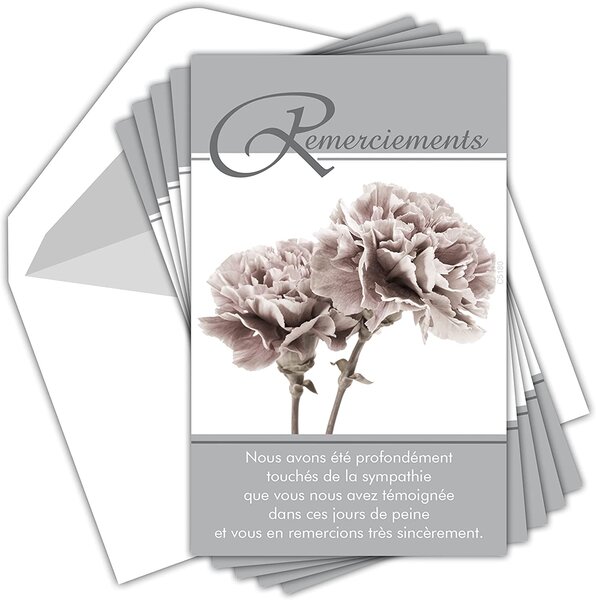 Lot 5 cartes remerciements condoléances +5 enveloppes blanches format 9x14cm