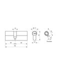 THIRARD - Cylindre de serrure Trafic 12  30x65mm  nickel  anti-arrachement  anti-perçage  anti-casse  5 clés
