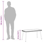 Table basse vidaXL Noir 90x45x42 cm en Poly Rattan