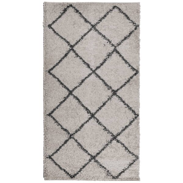 vidaXL Tapis shaggy à poils longs moderne beige anthracite 60x110 cm