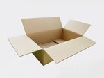 50 Boîtes carton Format H - 550x350x160mm