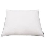 vidaXL Oreiller lot de 2 Remplissage de duvet léger 80 x 80 cm Blanc