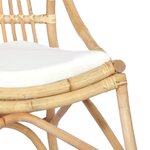 vidaXL Chaise en rotin Lin