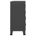 vidaXL Armoire à tiroirs industrielle Anthracite 78x40x93 cm Métal