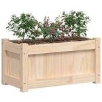 vidaXL Jardinières 2 Pièces bois de pin massif