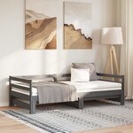 vidaXL Lit coulissant sans matelas gris 2x(90x200) cm