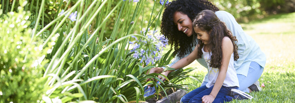 CESU jardinage : toutes les infos pour en bénéficier