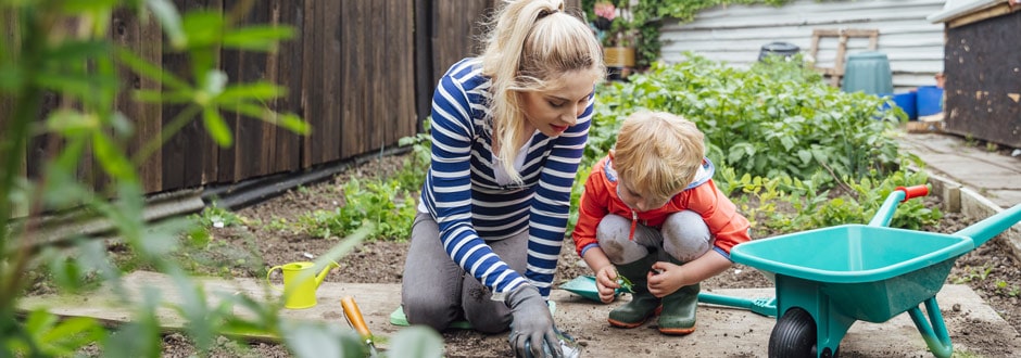 Comment entretenir un jardin ?